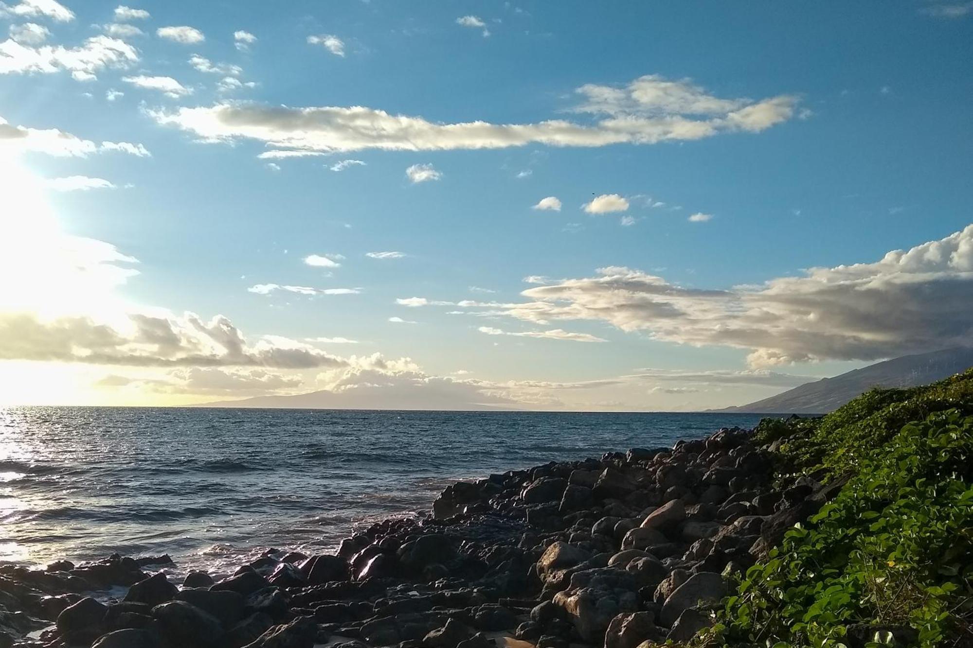 Maui Banyan Villa Wailea  Rum bild