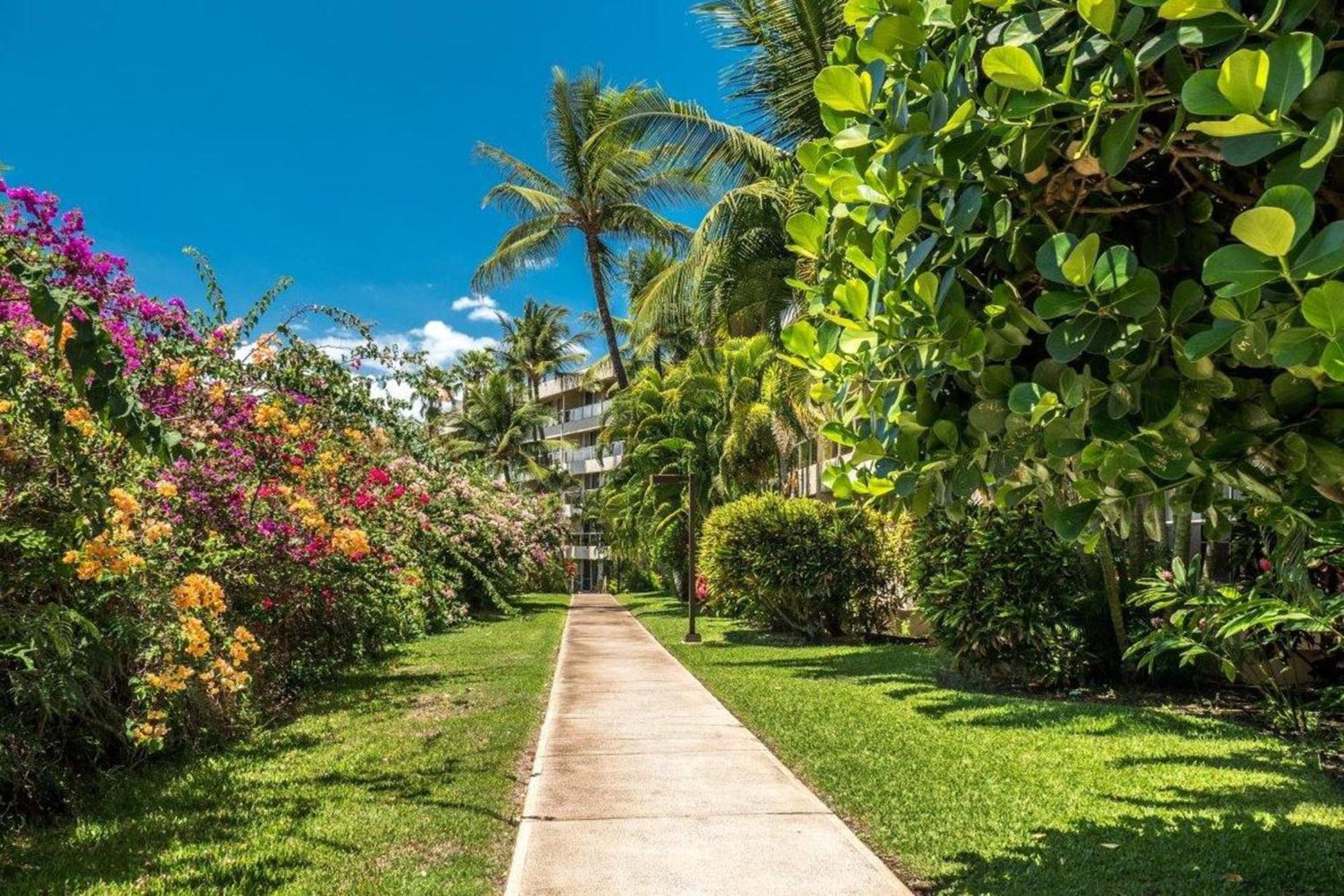 Maui Banyan Villa Wailea  Rum bild