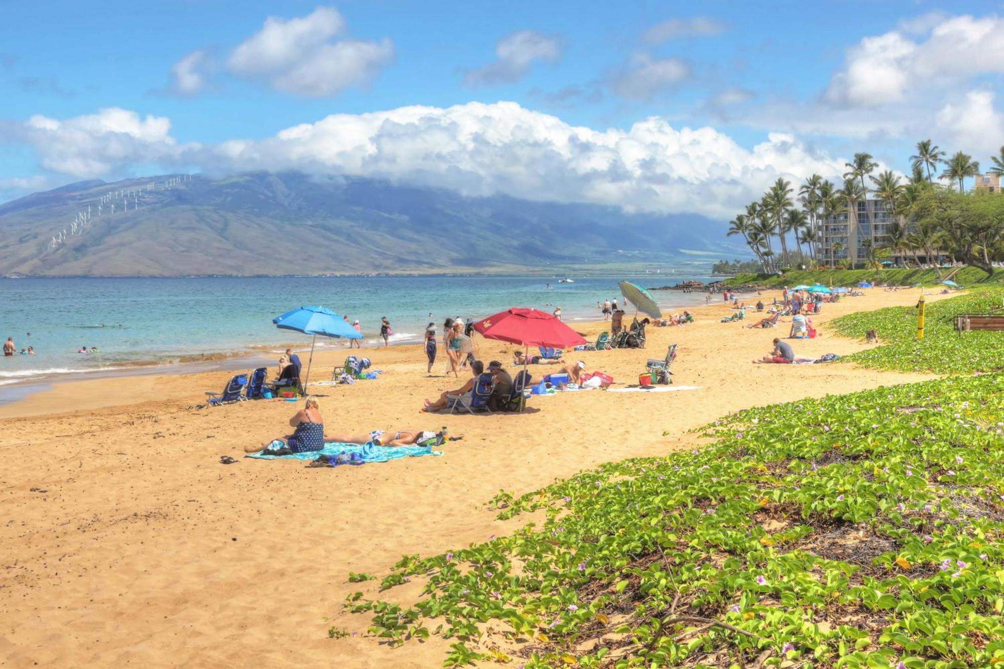 Maui Banyan Villa Wailea  Rum bild